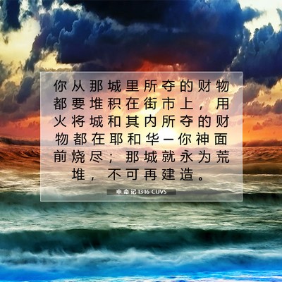 Picture 07 - 申 命 记 13:16 CUVS - 你 从 那 城 里 所 夺 的 财 物 都 要 - Bible Verse Picture
