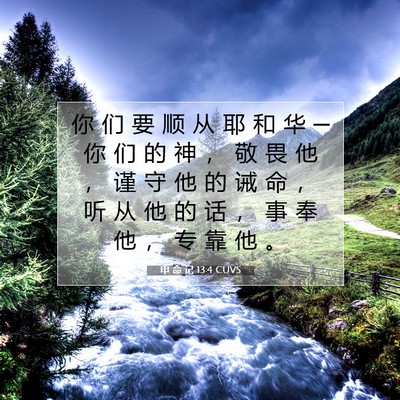 Picture 07 - 申 命 记 13:4 CUVS - 你 们 要 顺 从 耶 和 华 ─ 你 们 的 - Bible Verse Picture
