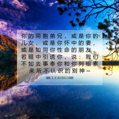 Picture 07 - 申 命 记 13:6 CUVS - 你 的 同 胞 弟 兄 ， 或 是 你 的 儿 - Bible Verse Picture