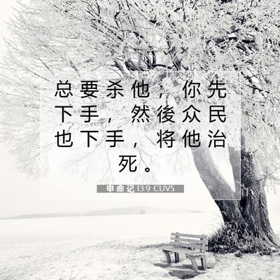 Picture 07 - 申 命 记 13:9 CUVS - 总 要 杀 他 ； 你 先 下 手 ， 然 後 - Bible Verse Picture
