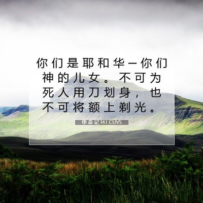 Picture 07 - 申 命 记 14:1 CUVS - 你 们 是 耶 和 华 ─ 你 们 神 的 儿 - Bible Verse Picture