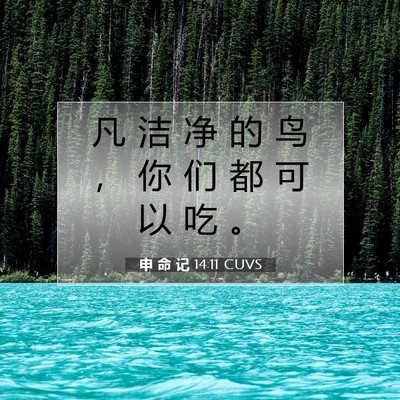 Picture 07 - 申 命 记 14:11 CUVS - 凡 洁 净 的 鸟 ， 你 们 都 可 以 吃 - Bible Verse Picture