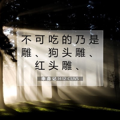 Picture 07 - 申 命 记 14:12 CUVS - 不 可 吃 的 乃 是 雕 、 狗 头 雕 、 - Bible Verse Picture