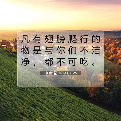 Picture 07 - 申 命 记 14:19 CUVS - 凡 有 翅 膀 爬 行 的 物 是 与 你 们 - Bible Verse Picture