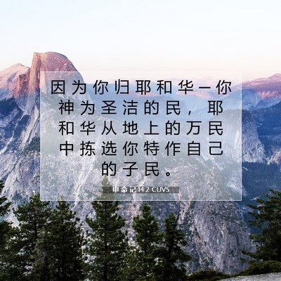 Picture 07 - 申 命 记 14:2 CUVS - 因 为 你 归 耶 和 华 ─ 你 神 为 圣 - Bible Verse Picture