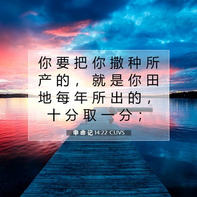 Picture 07 - 申 命 记 14:22 CUVS - 你 要 把 你 撒 种 所 产 的 ， 就 是 - Bible Verse Picture