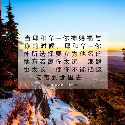Picture 07 - 申 命 记 14:24 CUVS - 当 耶 和 华 ─ 你 神 赐 福 与 你 的 - Bible Verse Picture