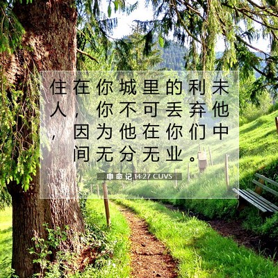 Picture 07 - 申 命 记 14:27 CUVS - 住 在 你 城 里 的 利 未 人 ， 你 不 - Bible Verse Picture