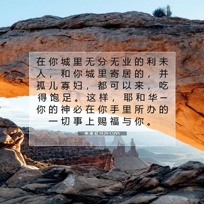 Picture 07 - 申 命 记 14:29 CUVS - 在 你 城 里 无 分 无 业 的 利 未 人 - Bible Verse Picture