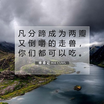 Picture 07 - 申 命 记 14:6 CUVS - 凡 分 蹄 成 为 两 瓣 又 倒 嚼 的 走 - Bible Verse Picture