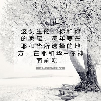 Picture 07 - 申 命 记 15:20 CUVS - 这 头 生 的 ， 你 和 你 的 家 属 ， - Bible Verse Picture