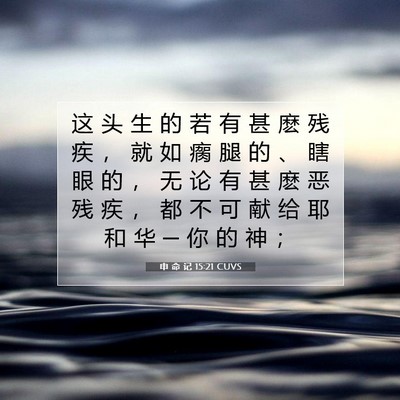 Picture 07 - 申 命 记 15:21 CUVS - 这 头 生 的 若 有 甚 麽 残 疾 ， 就 - Bible Verse Picture