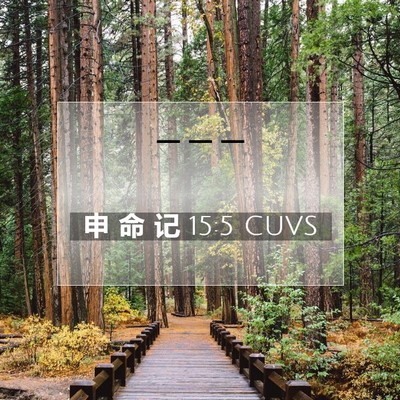 Picture 07 - 申 命 记 15:5 CUVS -  - Bible Verse Picture