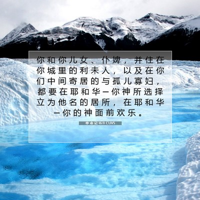 Picture 07 - 申 命 记 16:11 CUVS - 你 和 你 儿 女 、 仆 婢 ， 并 住 在 - Bible Verse Picture