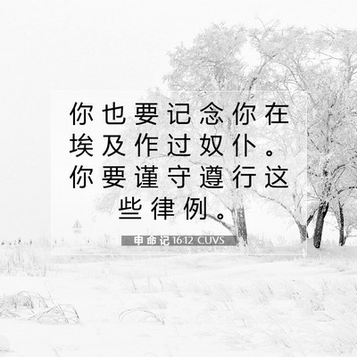 Picture 07 - 申 命 记 16:12 CUVS - 你 也 要 记 念 你 在 埃 及 作 过 奴 - Bible Verse Picture