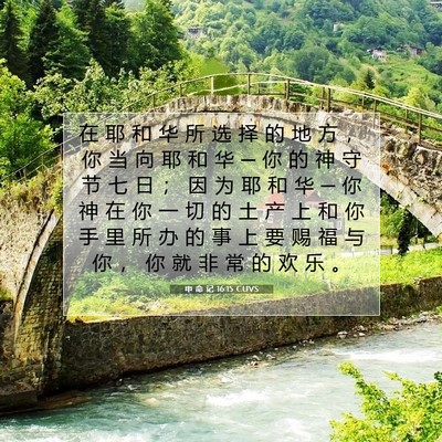Picture 07 - 申 命 记 16:15 CUVS - 在 耶 和 华 所 选 择 的 地 方 ， 你 - Bible Verse Picture