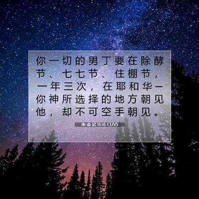 Picture 07 - 申 命 记 16:16 CUVS - 你 一 切 的 男 丁 要 在 除 酵 节 、 - Bible Verse Picture