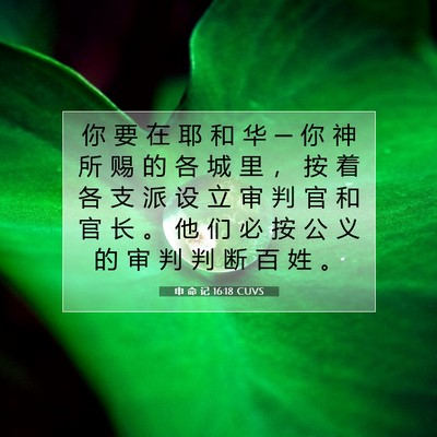 Picture 07 - 申 命 记 16:18 CUVS - 你 要 在 耶 和 华 ─ 你 神 所 赐 的 - Bible Verse Picture