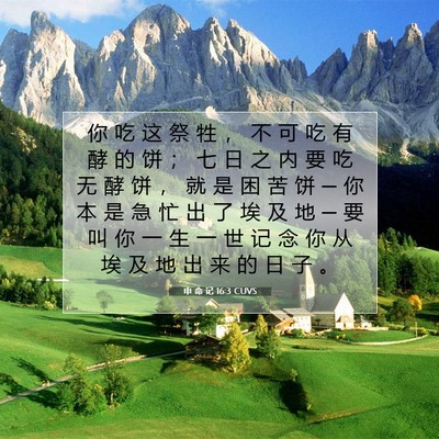 Picture 07 - 申 命 记 16:3 CUVS - 你 吃 这 祭 牲 ， 不 可 吃 有 酵 的 - Bible Verse Picture