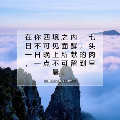Picture 07 - 申 命 记 16:4 CUVS - 在 你 四 境 之 内 ， 七 日 不 可 见 - Bible Verse Picture