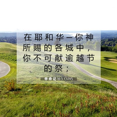 Picture 07 - 申 命 记 16:5 CUVS - 在 耶 和 华 ─ 你 神 所 赐 的 各 城 - Bible Verse Picture