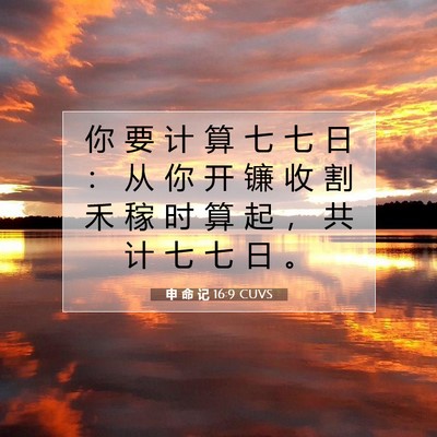 Picture 07 - 申 命 记 16:9 CUVS - 你 要 计 算 七 七 日 ： 从 你 开 镰 - Bible Verse Picture