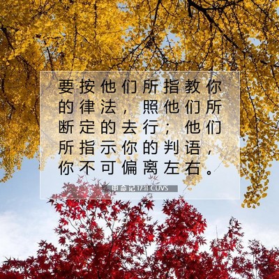 Picture 07 - 申 命 记 17:11 CUVS - 要 按 他 们 所 指 教 你 的 律 法 ， - Bible Verse Picture