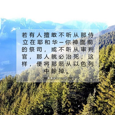 Picture 07 - 申 命 记 17:12 CUVS - 若 有 人 擅 敢 不 听 从 那 侍 立 在 - Bible Verse Picture
