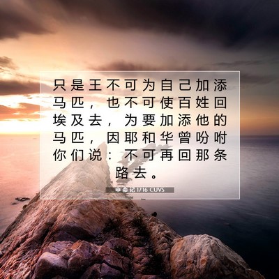 Picture 07 - 申 命 记 17:16 CUVS - 只 是 王 不 可 为 自 己 加 添 马 匹 - Bible Verse Picture