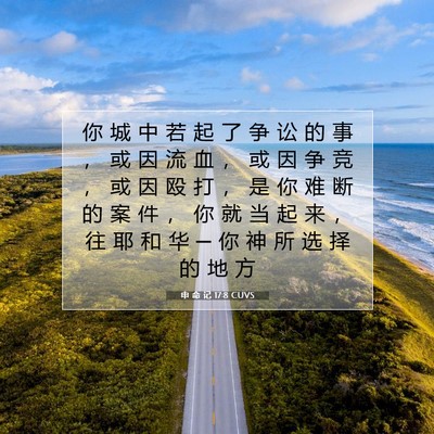 Picture 07 - 申 命 记 17:8 CUVS - 你 城 中 若 起 了 争 讼 的 事 ， 或 - Bible Verse Picture