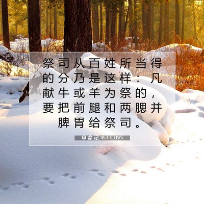 Picture 07 - 申 命 记 18:3 CUVS - 祭 司 从 百 姓 所 当 得 的 分 乃 是 - Bible Verse Picture