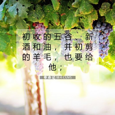 Picture 07 - 申 命 记 18:4 CUVS - 初 收 的 五 谷 、 新 酒 和 油 ， 并 - Bible Verse Picture