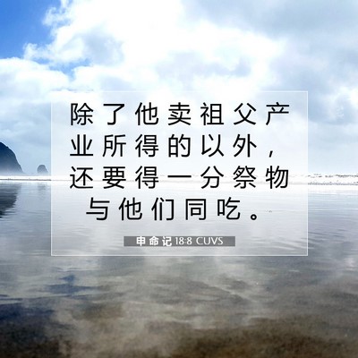 Picture 07 - 申 命 记 18:8 CUVS - 除 了 他 卖 祖 父 产 业 所 得 的 以 - Bible Verse Picture