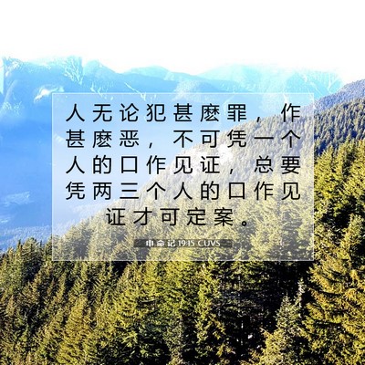 Picture 07 - 申 命 记 19:15 CUVS - 人 无 论 犯 甚 麽 罪 ， 作 甚 麽 恶 - Bible Verse Picture