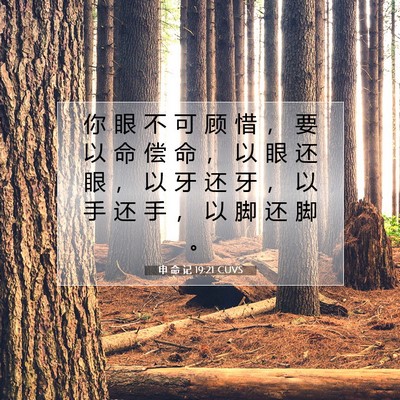 Picture 07 - 申 命 记 19:21 CUVS - 你 眼 不 可 顾 惜 ， 要 以 命 偿 命 - Bible Verse Picture