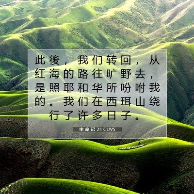 Picture 07 - 申 命 记 2:1 CUVS - 此 後 ， 我 们 转 回 ， 从 红 海 的 - Bible Verse Picture