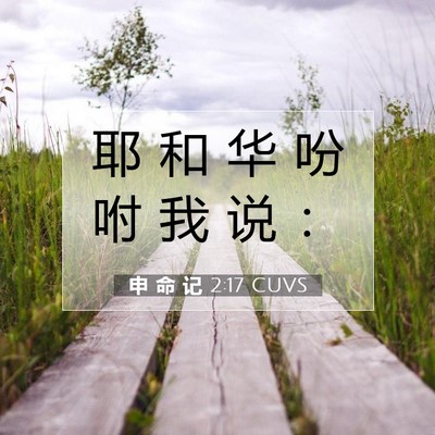 Picture 07 - 申 命 记 2:17 CUVS - 耶 和 华 吩 咐 我 说 - Bible Verse Picture