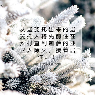 Picture 07 - 申 命 记 2:23 CUVS - 从 迦 斐 托 出 来 的 迦 斐 托 人 将 - Bible Verse Picture