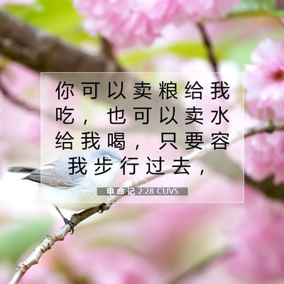 Picture 07 - 申 命 记 2:28 CUVS - 你 可 以 卖 粮 给 我 吃 ， 也 可 以 - Bible Verse Picture