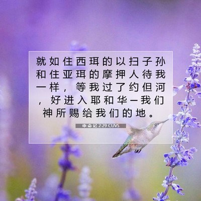 Picture 07 - 申 命 记 2:29 CUVS - 就 如 住 西 珥 的 以 扫 子 孙 和 住 - Bible Verse Picture