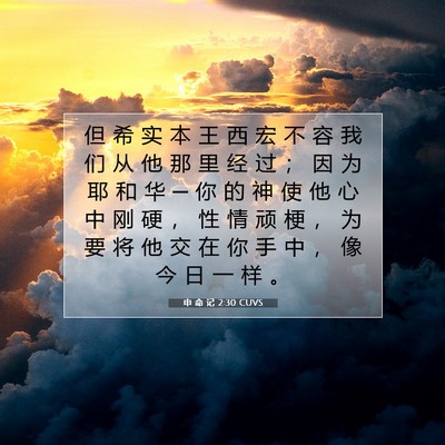 Picture 07 - 申 命 记 2:30 CUVS - 但 希 实 本 王 西 宏 不 容 我 们 从 - Bible Verse Picture