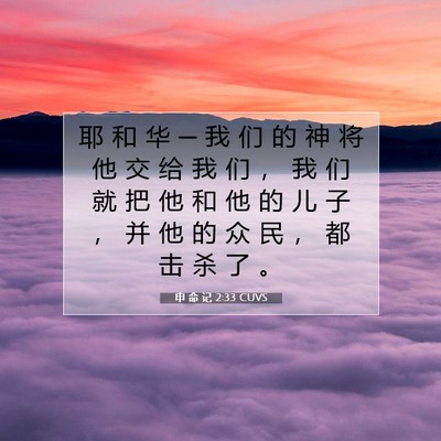 Picture 07 - 申 命 记 2:33 CUVS - 耶 和 华 ─ 我 们 的 神 将 他 交 给 - Bible Verse Picture