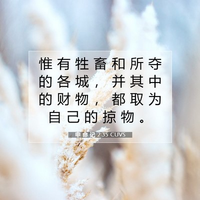 Picture 07 - 申 命 记 2:35 CUVS - 惟 有 牲 畜 和 所 夺 的 各 城 ， 并 - Bible Verse Picture