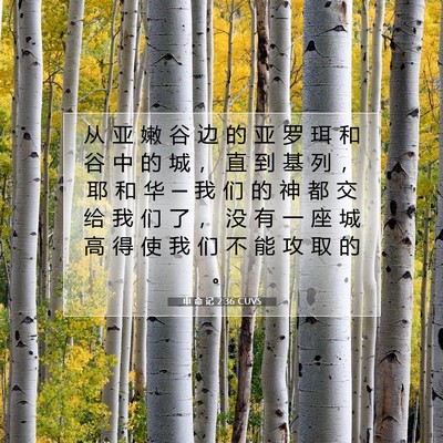 Picture 07 - 申 命 记 2:36 CUVS - 从 亚 嫩 谷 边 的 亚 罗 珥 和 谷 中 - Bible Verse Picture