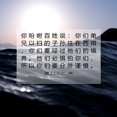 Picture 07 - 申 命 记 2:4 CUVS - 你 吩 咐 百 姓 说 ： 你 们 弟 兄 以 - Bible Verse Picture