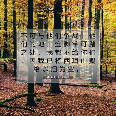 Picture 07 - 申 命 记 2:5 CUVS - 不 可 与 他 们 争 战 ； 他 们 的 地 - Bible Verse Picture