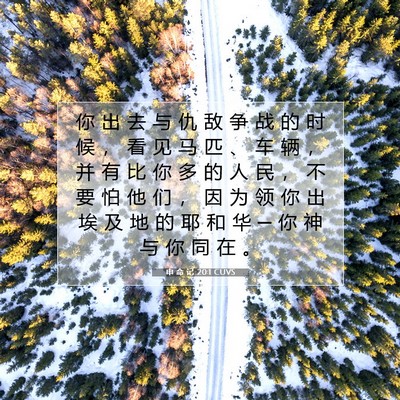 Picture 07 - 申 命 记 20:1 CUVS - 你 出 去 与 仇 敌 争 战 的 时 候 ， - Bible Verse Picture