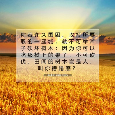 Picture 07 - 申 命 记 20:19 CUVS - 你 若 许 久 围 困 、 攻 打 所 要 取 - Bible Verse Picture