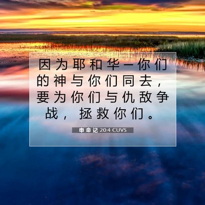 Picture 07 - 申 命 记 20:4 CUVS - 因 为 耶 和 华 ─ 你 们 的 神 与 你 - Bible Verse Picture