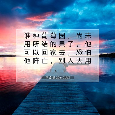 Picture 07 - 申 命 记 20:6 CUVS - 谁 种 葡 萄 园 ， 尚 未 用 所 结 的 - Bible Verse Picture